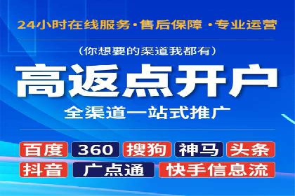 谷歌竞价广告的投放策略与成功案例分析